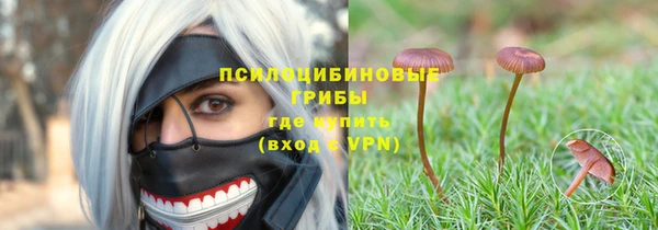 стаф Инта