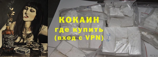 стаф Инта