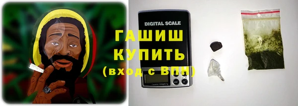 стаф Инта