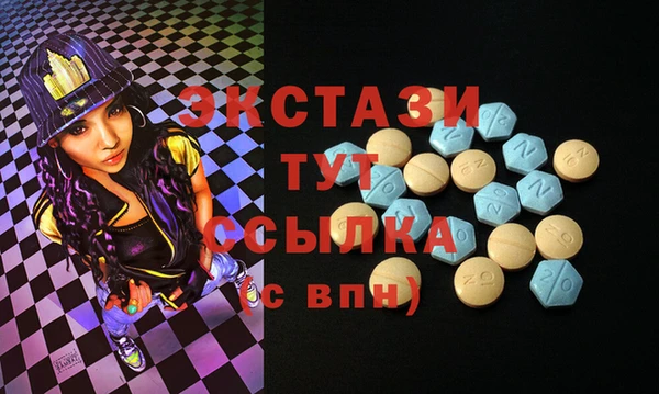 стаф Инта