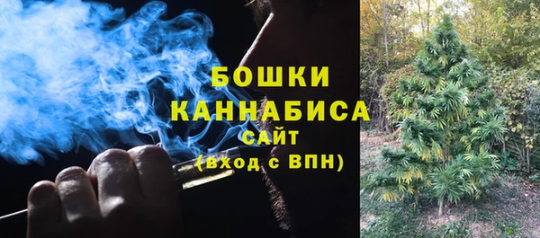 соль ск Иннополис