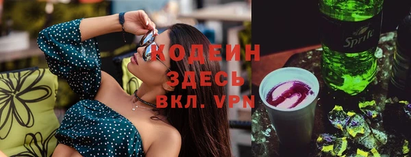 стаф Инта