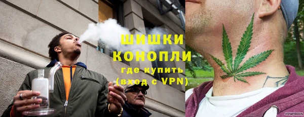 стаф Инта