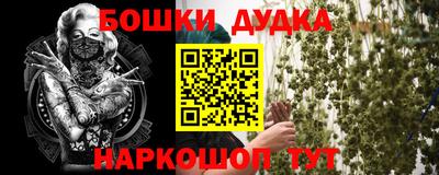 ешки Кингисепп