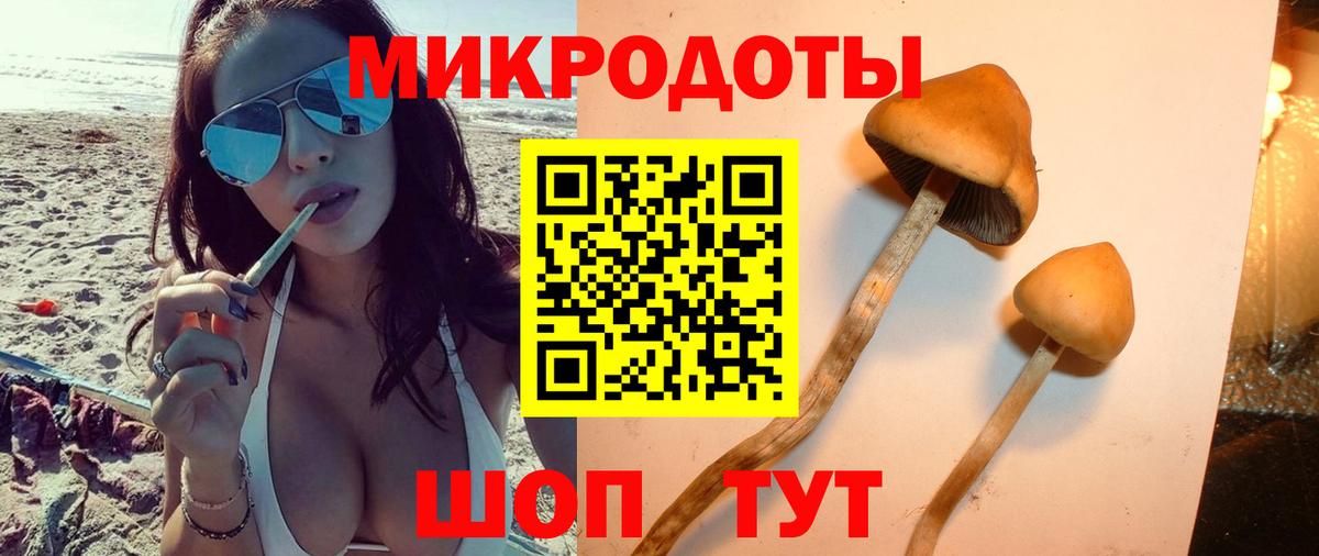 Галлюциногенные грибы Magic Shrooms  Вход с VPN  Звенигород 