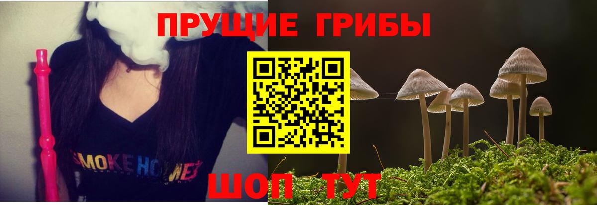 Галлюциногенные грибы Magic Shrooms Звенигород